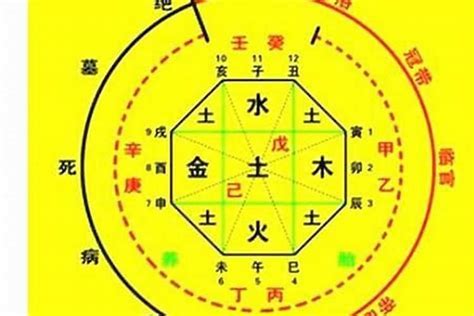 八字五行比例|八字五行强弱分数计算方法帮你找到喜用